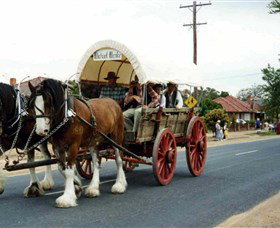 The Trek Wagon Walla Walla - Palm Beach Accommodation 1