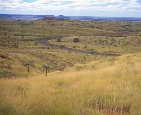 Mount Herbert - Palm Beach Accommodation 0