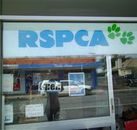 R.S.P.C.A Opportunity Shop - Palm Beach Accommodation