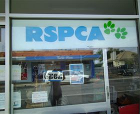 R.S.P.C.A Opportunity Shop - Palm Beach Accommodation 0