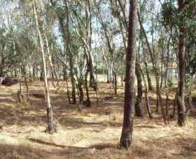 Chiltern-Mt Pilot National Park - Palm Beach Accommodation 0