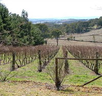 Habitat Vineyard - Palm Beach Accommodation