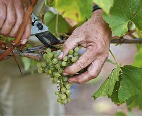 Austins & Co. - Palm Beach Accommodation 1