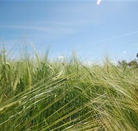 150 Degrees East Meridian - Palm Beach Accommodation