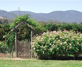 Samaria Farm - Palm Beach Accommodation 2
