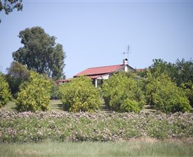 Samaria Farm - Palm Beach Accommodation 0