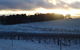Charles Sturt University Winery - thumb 0