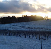 Charles Sturt University Winery - Palm Beach Accommodation