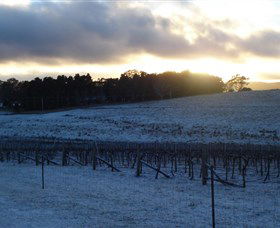 Charles Sturt University Winery - Palm Beach Accommodation 0