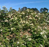 Huntley Berry Farm - Palm Beach Accommodation