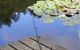 Ophir Reserve - thumb 0