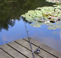 Ophir Reserve - Palm Beach Accommodation