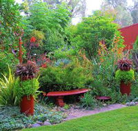 Out of Town Nursery and Humming Garden - Palm Beach Accommodation