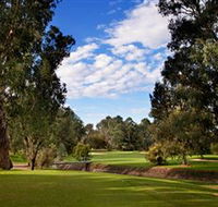 Commercial Golf Course - Palm Beach Accommodation