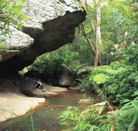 Cania Gorge National Park - Palm Beach Accommodation