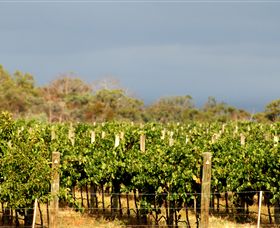 Amulet Vineyard And Beechworth Cider - Palm Beach Accommodation 7