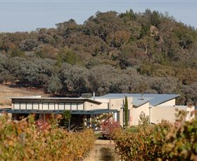 Amulet Vineyard And Beechworth Cider - Palm Beach Accommodation 8