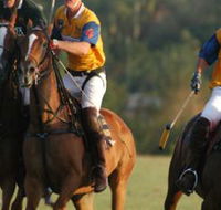 Millamolong Station - Palm Beach Accommodation