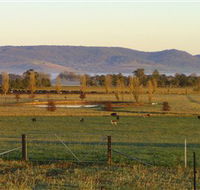 Holbrook Landcare Self-Drive Eco Tour - Palm Beach Accommodation