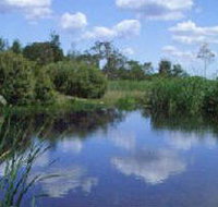 Yan Yean Reservoir Park - Palm Beach Accommodation