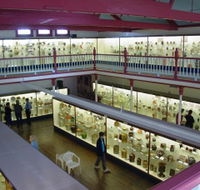 National Museum of Australian Pottery - Palm Beach Accommodation
