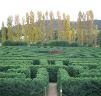 Brookfield Maze - Palm Beach Accommodation