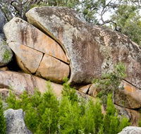 Frog Rock - Palm Beach Accommodation
