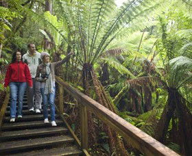 Beech Forest ACT Palm Beach Accommodation