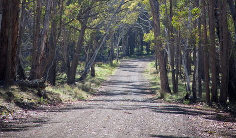 Coolah Tops National Park - Palm Beach Accommodation 1