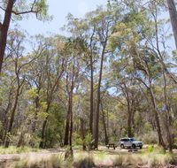 Coolah Tops National Park - Palm Beach Accommodation