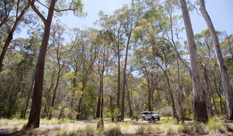 Coolah Tops National Park - Palm Beach Accommodation 0