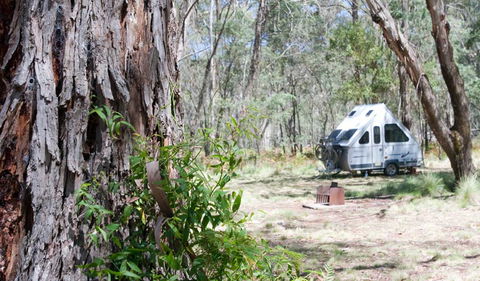 Coolah Tops National Park - Palm Beach Accommodation 2