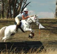 National Equestrian Centre - Kerrabee - Palm Beach Accommodation
