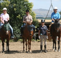 Forest Park Riding and Equitation School - Palm Beach Accommodation