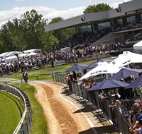 Thoroughbred Park Canberra Racing Club - Horse Racing in the Nations Capital - Palm Beach Accommodation