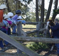 Harlow Park Horse Riding - Palm Beach Accommodation