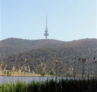 Black Mountain Peninsula - Palm Beach Accommodation
