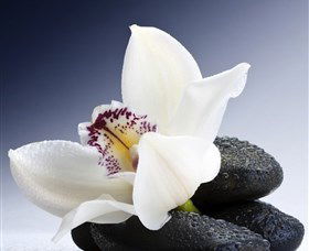 H2O Spa - Palm Beach Accommodation 1