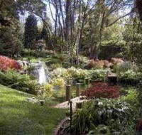 Windyridge Garden Mount Wilson - Palm Beach Accommodation