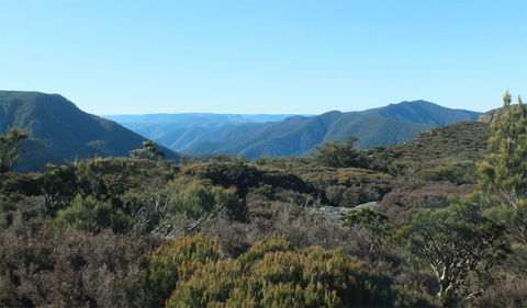 Kanangra-Boyd Lookout - Palm Beach Accommodation 2