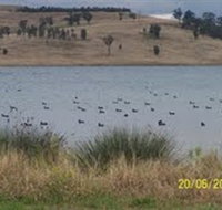 Lake Liddell Recreation Area - Palm Beach Accommodation