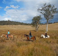 Chapman Valley Horse Riding - Palm Beach Accommodation