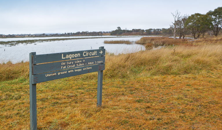 Attunga NSW Palm Beach Accommodation