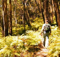 Federal Pass - Palm Beach Accommodation
