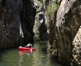 Wombeyan Caves NSW Palm Beach Accommodation