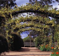 Blue Mountains Botanic Garden - Palm Beach Accommodation