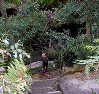 Leura Cascades Fern Bower - Palm Beach Accommodation