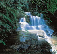 Leura Cascades - Palm Beach Accommodation