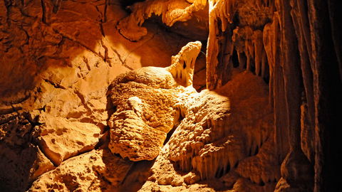 Wombeyan Karst Conservation Reserve - Palm Beach Accommodation 2