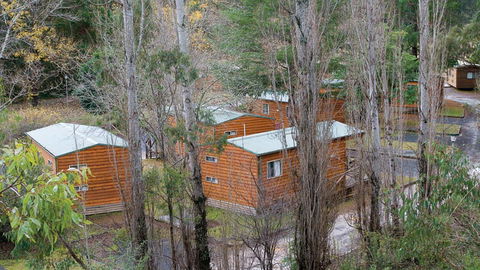 Wombeyan Karst Conservation Reserve - Palm Beach Accommodation 1